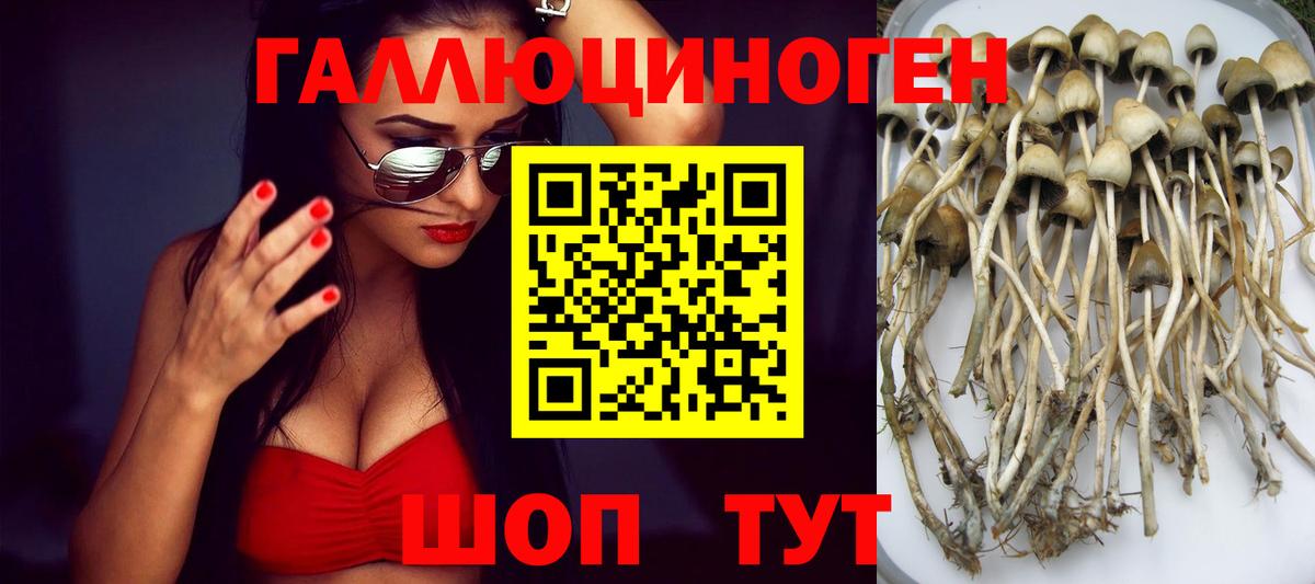 Галлюциногенные грибы мухоморы Добрянка