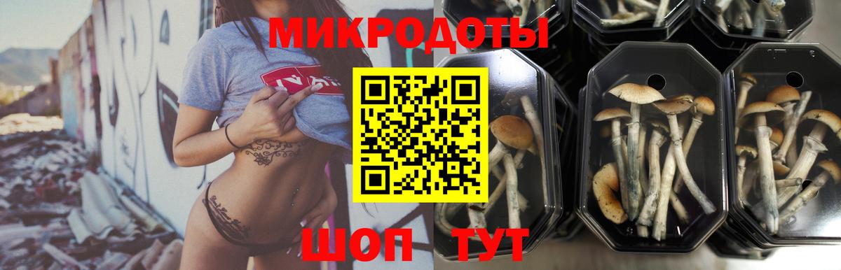 Добрянка  Галлюциногенные грибы Magic Shrooms  Галлюциногенные грибы Cubensis  купить закладку  Вход с VPN 
